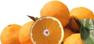 Orangen